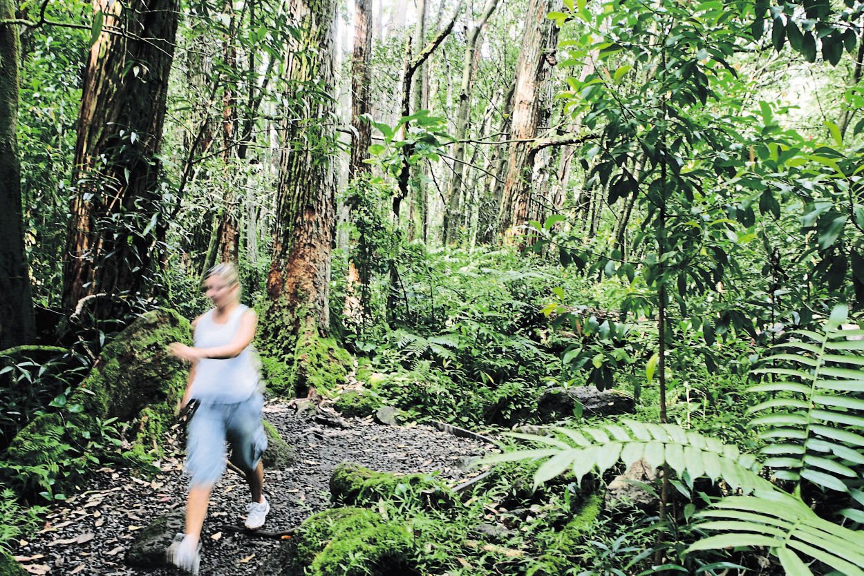 台的成功故 台的成功故