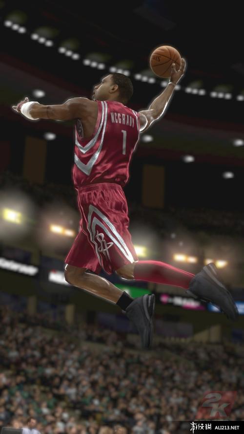 真实案例 真实案例