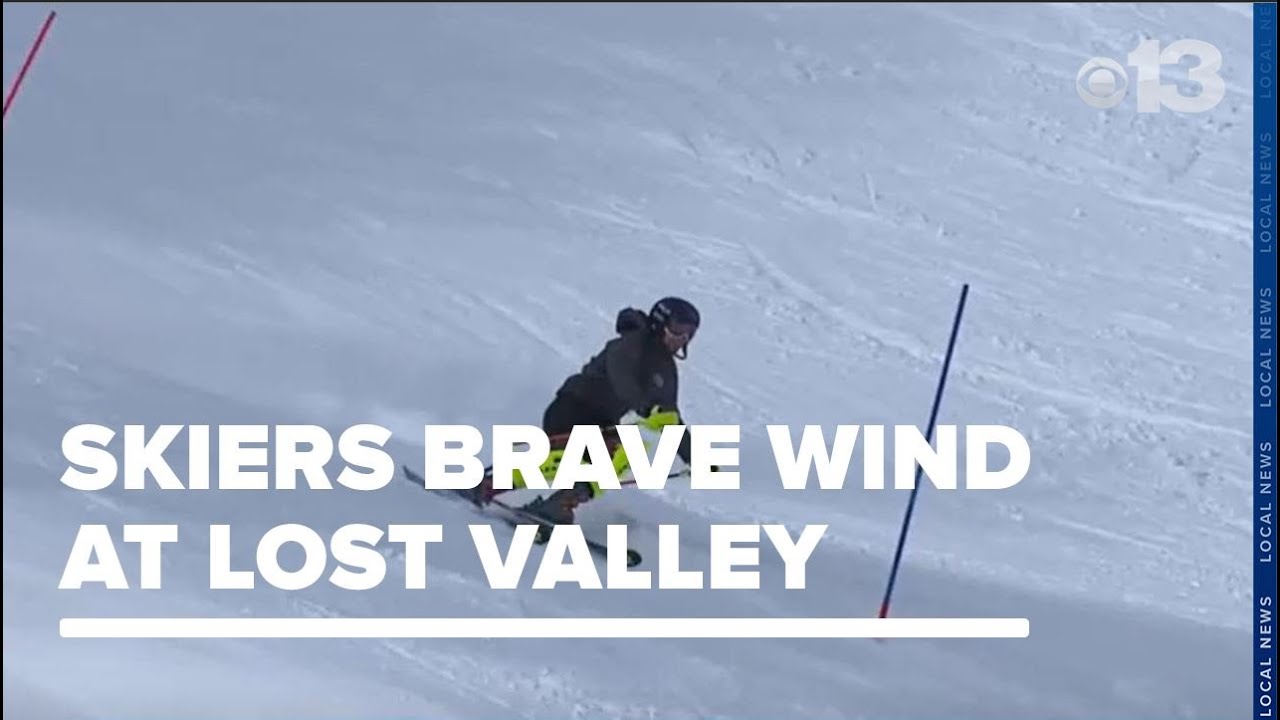 无论是调整 无论是调整