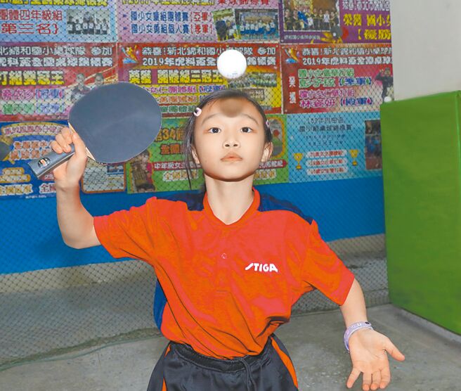 迎来了新的 迎来了新的