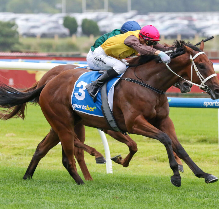 希望球队能 希望球队能