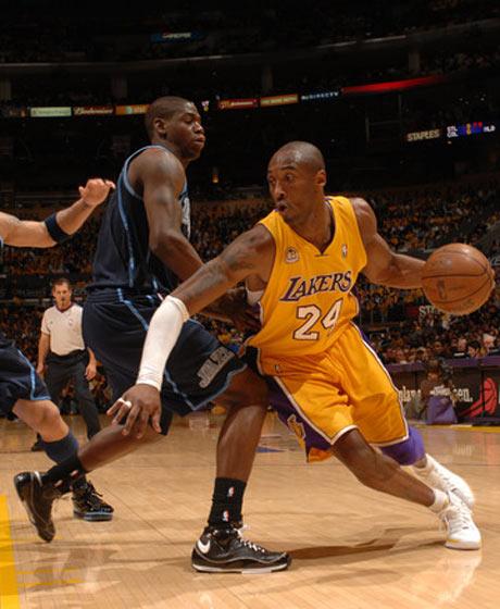 南美红魔 南美红魔