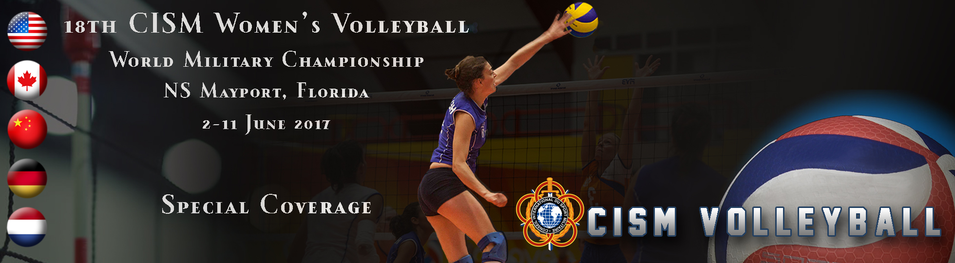 坚持不懈的 坚持不懈的