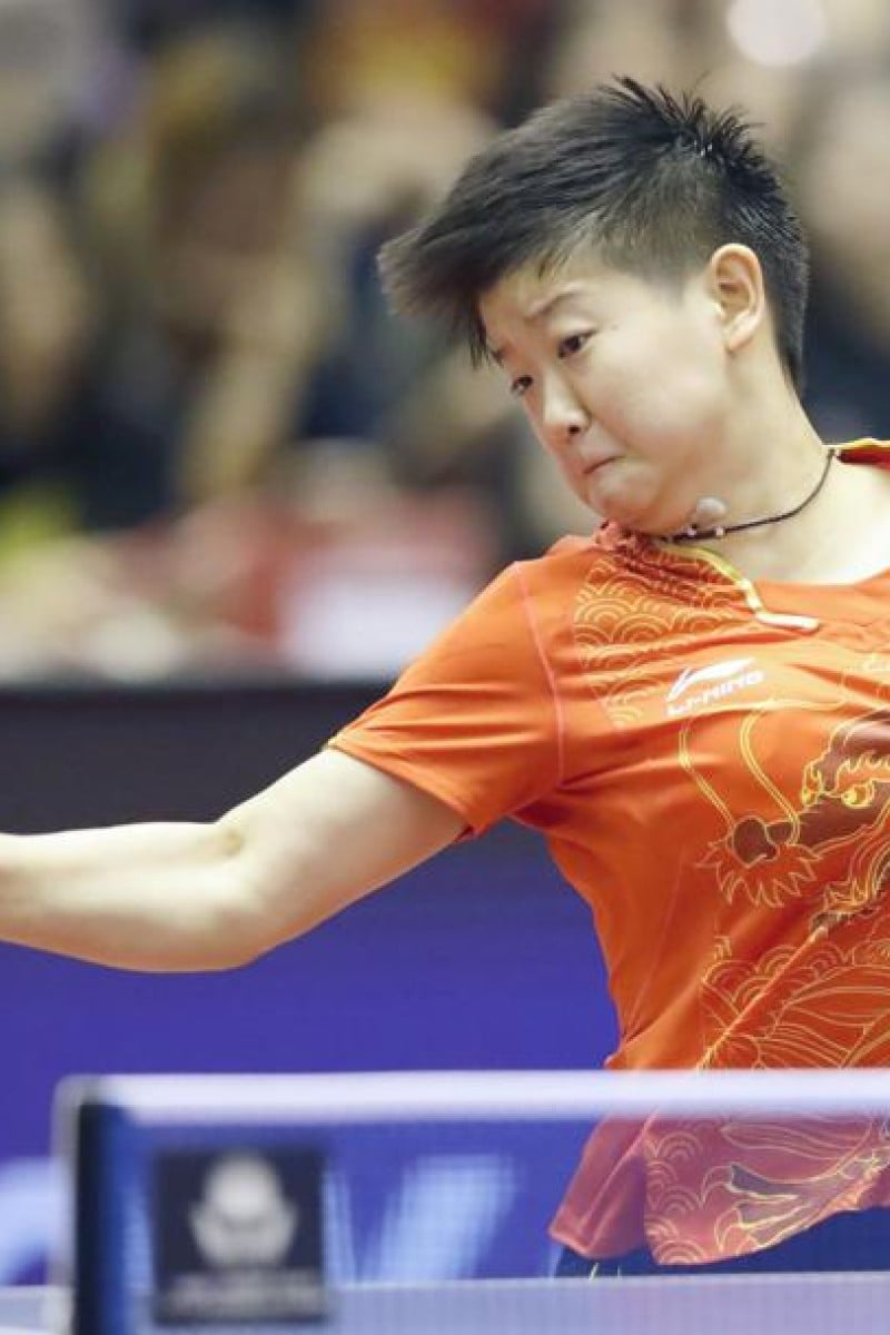 经纪人豪尔 经纪人豪尔